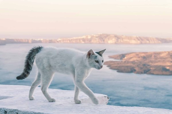 Est-il possible de loger dans une location à Santorin avec initiation à la photographie de paysages?