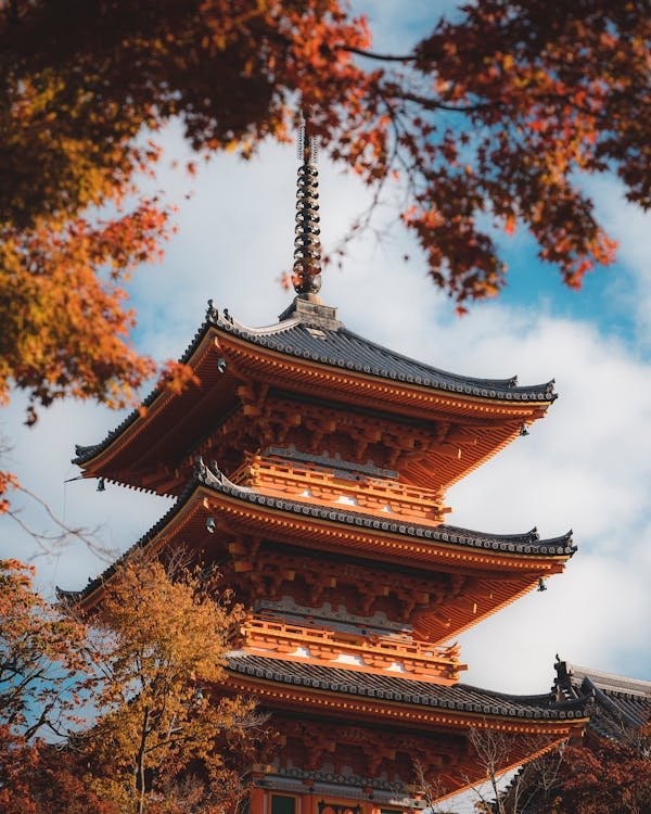 Activités familiales incontournables pour découvrir le japon